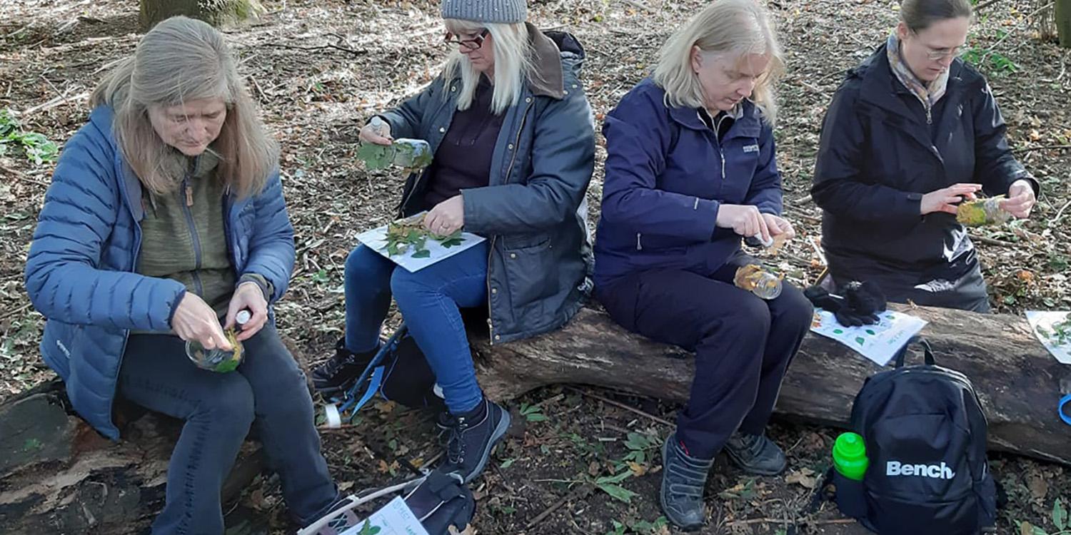 Forest School