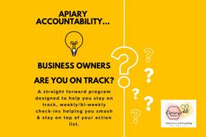 Accountability for Business Owners from Apiary Solutions