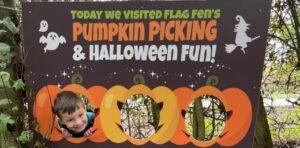 Flag Fen Pumpkin Picking Fun poster